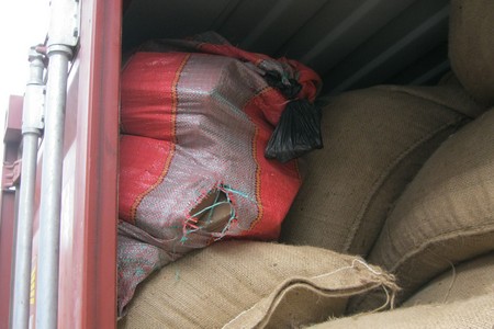 La gendarmerie met la main sur 300 kg de chanvre indien à Popenguine La gendarmerie met la main sur 300 kg de chanvre indien à Popenguine