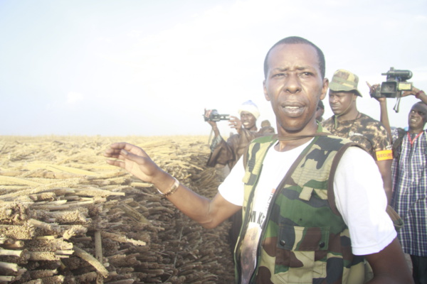 Cheikh Amar : « S’il y avait quatre Khelcom au Sénégal, on ne parlerait plus d’autosuffisance alimentaire » Cheikh Amar : « S’il y avait quatre Khelcom au Sénégal, on ne parlerait plus d’autosuffisance alimentaire »