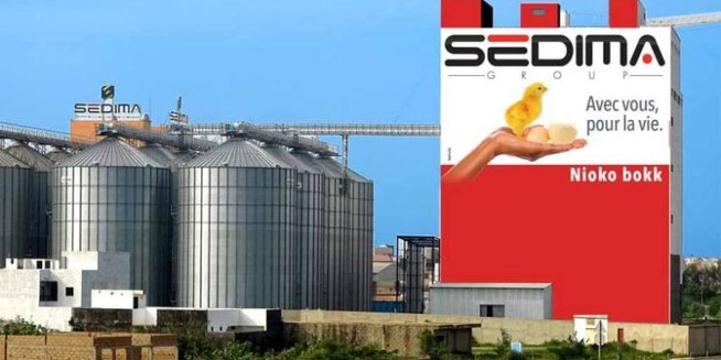 Sedima : Babacar Ngom s’apprêterait à vendre sa société aux Marocains ! Sedima : Babacar Ngom s’apprêterait à vendre sa société aux Marocains !