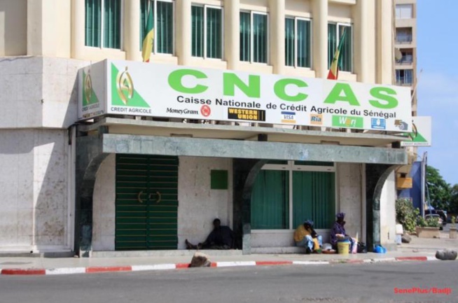 Détournement à la Cncas: L'ancien caissier risque 7 ans de prison ferme Détournement à la Cncas: L'ancien caissier risque 7 ans de prison ferme
