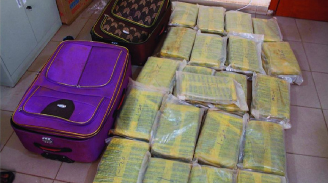 Saisie de chanvre indien à Karang : La drogue était dissimulée dans deux valises et un sac à dos… Saisie de chanvre indien à Karang : La drogue était dissimulée dans deux valises et un sac à dos…