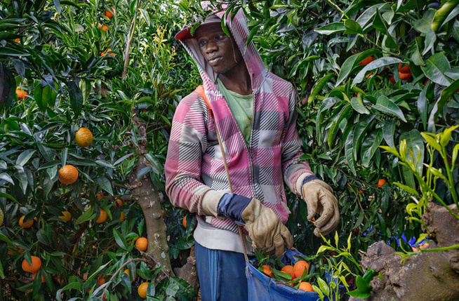 Migration Circulaire : Une alerte lancée sur les difficiles séjours des saisonniers ! Migration Circulaire : Une alerte lancée sur les difficiles séjours des saisonniers !