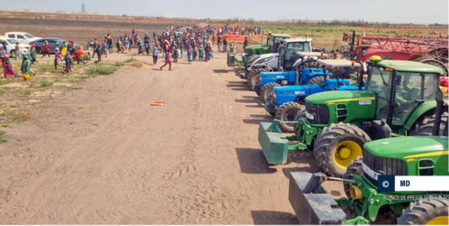 Forêt classée de Thiès : Le rapport de la Cour des Comptes évoque l’installation irrégulière de la Société QVS Forêt classée de Thiès : Le rapport de la Cour des Comptes évoque l’installation irrégulière de la Société QVS
