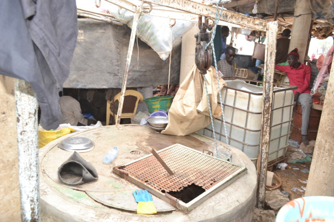 En images les images du grand Magal de Touba 2015. Regardez. En images les images du grand Magal de Touba 2015. Regardez.