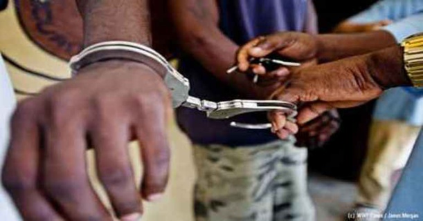 Trafic de véhicules trois personnes arrêtées à Touba Trafic de véhicules trois personnes arrêtées à Touba