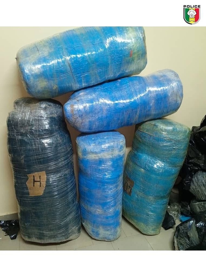 Plus de 97 kilogrammes de chanvre saisis et cinq individus interpellés (Police) Plus de 97 kilogrammes de chanvre saisis et cinq individus interpellés (Police)