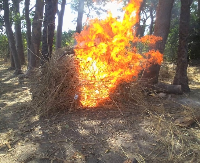 Incinération annoncée d’une importante quantité de cocaïne à Rufisque Incinération annoncée d’une importante quantité de cocaïne à Rufisque