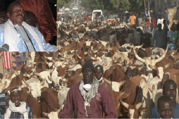 Touba : Le reponsable de la boucherie de Cheikh Béthio Thioune arrêté Touba : Le reponsable de la boucherie de Cheikh Béthio Thioune arrêté