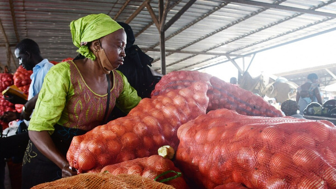 Mévente à Notto Gouye Diama : Dans le désarroi, plusieurs producteurs maraîchers bientôt incapables de rembourser les prêts bancaires Mévente à Notto Gouye Diama : Dans le désarroi, plusieurs producteurs maraîchers bientôt incapables de rembourser les prêts bancaires