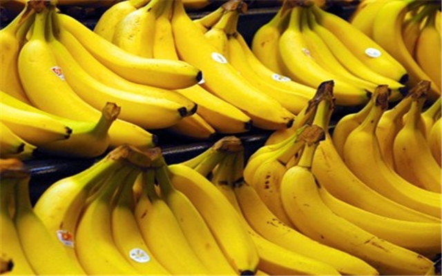 La banane a rapporté 6,5 milliards de FCFA aux producteurs en 2015 La banane a rapporté 6,5 milliards de FCFA aux producteurs en 2015