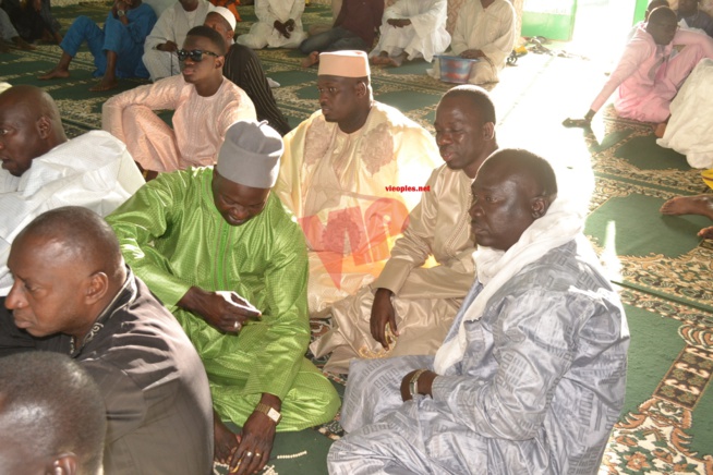 MARIAGE: Le transitaire Ibou Sow Ardo prend une "Niarel". Revivez les images. MARIAGE: Le transitaire Ibou Sow Ardo prend une "Niarel". Revivez les images.