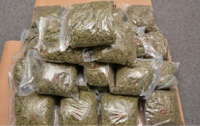 Kaolack : arrestation d’un individu en possession de onze kilogrammes de chanvre indien Kaolack : arrestation d’un individu en possession de onze kilogrammes de chanvre indien