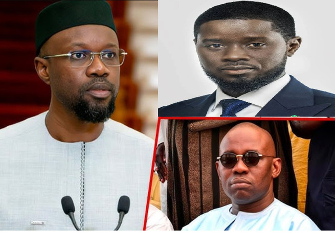 West African Energy injecte 127 MW dans le réseau de Senelec : une avancée majeure pour la souveraineté énergétique du Sénégal West African Energy injecte 127 MW dans le réseau de Senelec : une avancée majeure pour la souveraineté énergétique du Sénégal