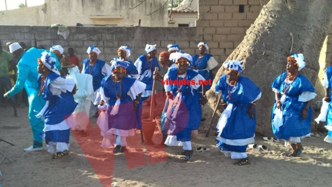 Exclusivité: Les premiéres images de la nouvelle vidéo de Gorgui Ndiaye. Regardez. Exclusivité: Les premiéres images de la nouvelle vidéo de Gorgui Ndiaye. Regardez.