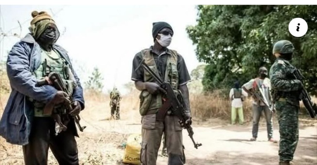 Nouvelle attaque armée en Casamance : 30 millions FCFA emportés par les assaillants.
