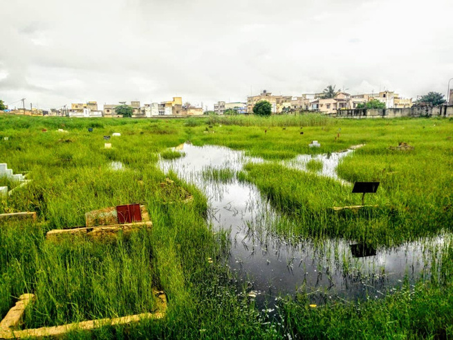 Cimetière de Diamaguène, Saturé et Inondé : Les populations trimballent leurs morts et interpellent les autorités étatiques Cimetière de Diamaguène, Saturé et Inondé : Les populations trimballent leurs morts et interpellent les autorités étatiques