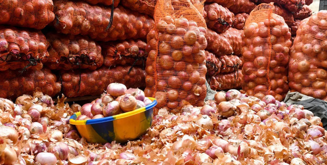 Marché de l’oignon : L’ARM suspend la commercialisation par les agrobusiness, du 22 mai au 15 juin, pour soutenir les petits producteurs Marché de l’oignon : L’ARM suspend la commercialisation par les agrobusiness, du 22 mai au 15 juin, pour soutenir les petits producteurs