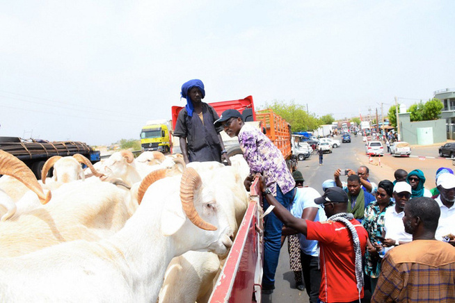 Préparatifs de la Tabaski 2025 : Le Dr Alpha Ba en mission à Kidira pour sécuriser l’approvisionnement en moutons Préparatifs de la Tabaski 2025 : Le Dr Alpha Ba en mission à Kidira pour sécuriser l’approvisionnement en moutons
