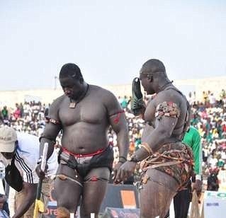 Modou Lô Vs Gris Bordeau officiellement ficelé: PAF décroche la revanche