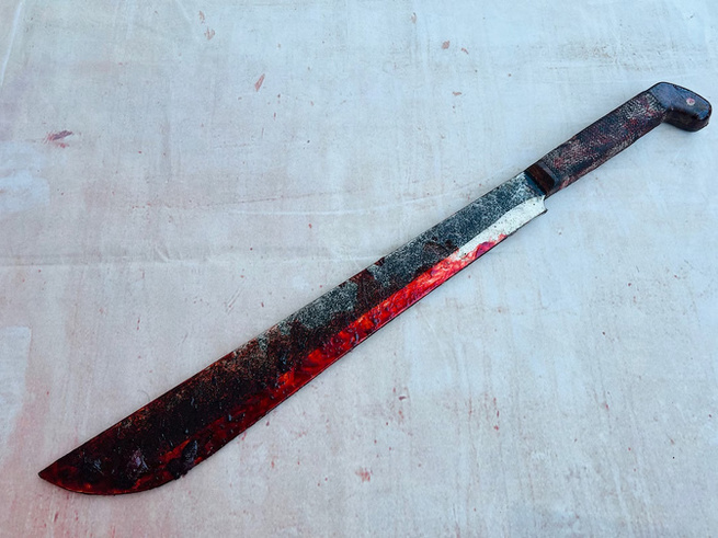 Vingt ans de prison ferme pour A. Sow : Le jeune berger avait tué son père, lui assénant 18 coups de machette Vingt ans de prison ferme pour A. Sow : Le jeune berger avait tué son père, lui assénant 18 coups de machette