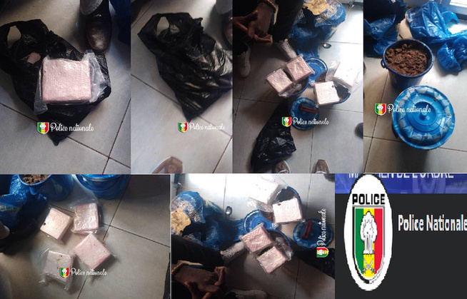 Lutte contre le trafic de drogue : Deux étrangers arrêtés avec quatre kilos de cocaïne à Dakar Lutte contre le trafic de drogue : Deux étrangers arrêtés avec quatre kilos de cocaïne à Dakar
