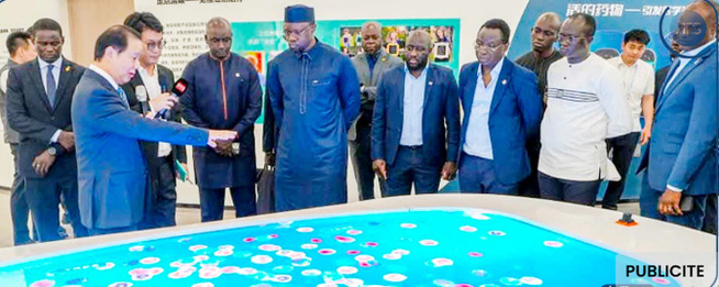 Une banque de sang et une collaboration scientifique en vue, entre le Sénégal et Tianjin Une banque de sang et une collaboration scientifique en vue, entre le Sénégal et Tianjin