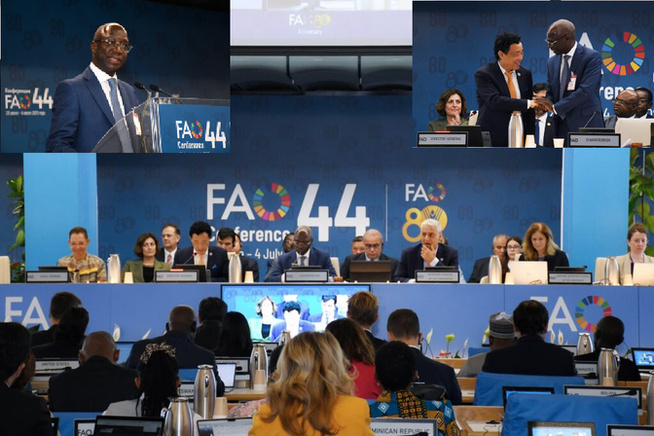 Le Sénégal préside la 44e Conférence de la FAO : un plaidoyer pour une mobilisation contre la faim Le Sénégal préside la 44e Conférence de la FAO : un plaidoyer pour une mobilisation contre la faim