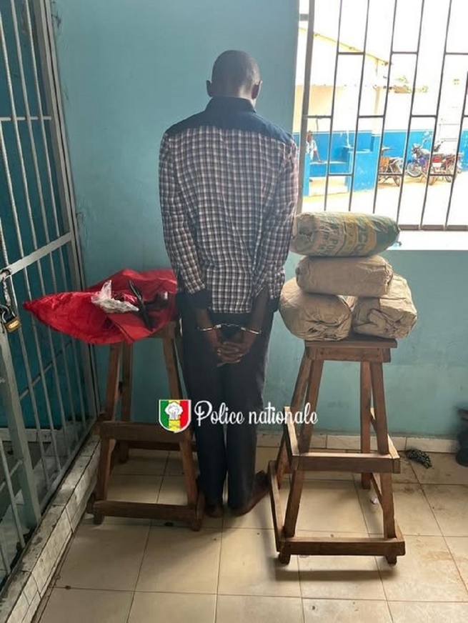 Sécurité publique-Kolda : un trafiquant de chanvre indien arrêté à Batanguel Sécurité publique-Kolda : un trafiquant de chanvre indien arrêté à Batanguel