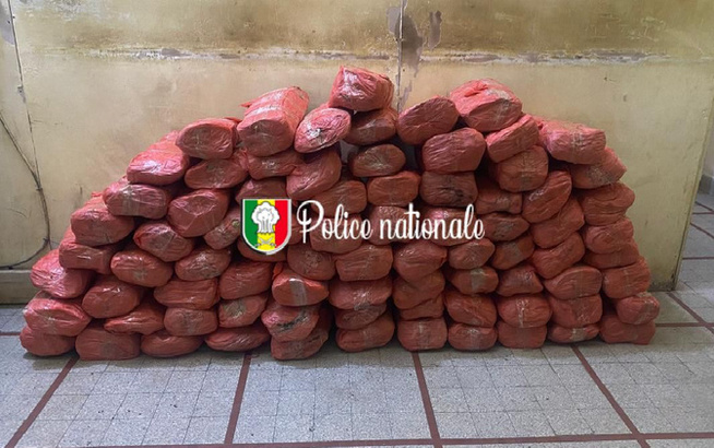 Kaolack : 80 kg de chanvre indien saisis à Thioyene Hamady Mala Kaolack : 80 kg de chanvre indien saisis à Thioyene Hamady Mala
