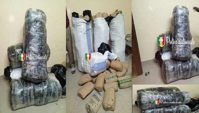 Ngazoubile : Une saisie de 96 kg de chanvre indien opérée par la Brigade régionale des stupéfiants Ngazoubile : Une saisie de 96 kg de chanvre indien opérée par la Brigade régionale des stupéfiants