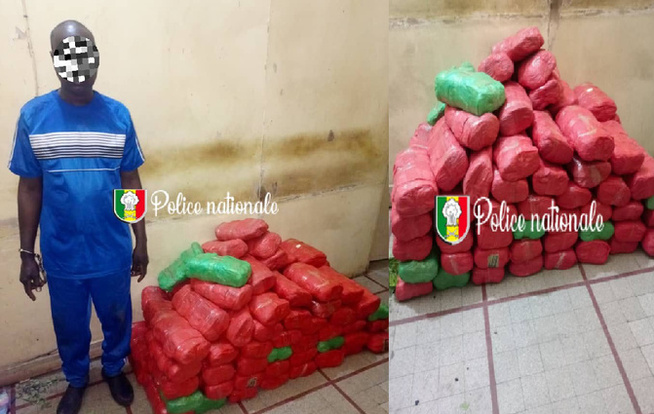 Kaolack I Trafic de drogue : 82 kg de chanvre indien saisis, un convoyeur arrêté...à Yeumbeul, un ressortissant étranger tombe avec des képas de Kush