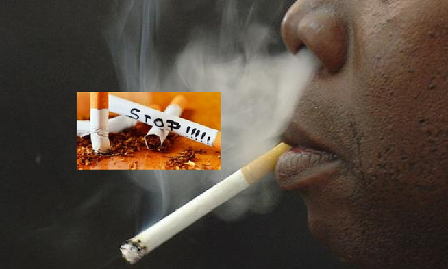Tabac et santé sexuelle : 35 % des cas d’impuissance liés au tabac, Dr. Kassé alerte sur une catastrophe silencieuse Tabac et santé sexuelle : 35 % des cas d’impuissance liés au tabac, Dr. Kassé alerte sur une catastrophe silencieuse