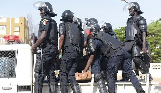 Escroquerie et drogue : Deux interpellations majeures à Golf et Guédiawaye Escroquerie et drogue : Deux interpellations majeures à Golf et Guédiawaye