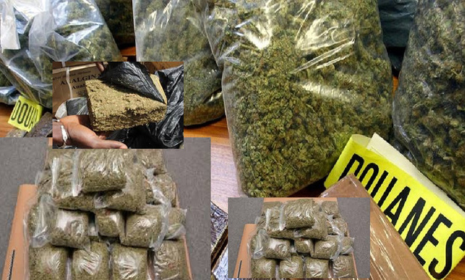 Saisie de 25 kg de chanvre indien à Kidira : Les douaniers déjouent une tentative de trafic à la frontière malienne Saisie de 25 kg de chanvre indien à Kidira : Les douaniers déjouent une tentative de trafic à la frontière malienne