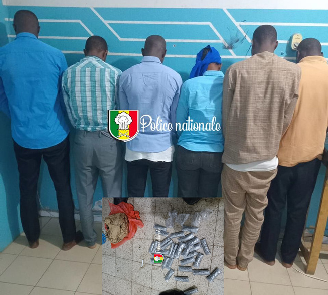 Thiès : Avec deux coups de filet, la police démantèle un réseau d’escroquerie lié à QNET et saisit du chanvre indien à Darou Salam Thiès : Avec deux coups de filet, la police démantèle un réseau d’escroquerie lié à QNET et saisit du chanvre indien à Darou Salam