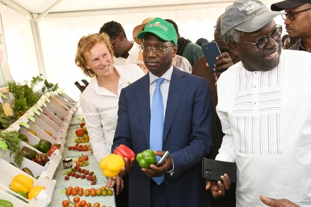 Filière horticole : Le ministre Mabouba Diagne pour une professionnalisation rapide