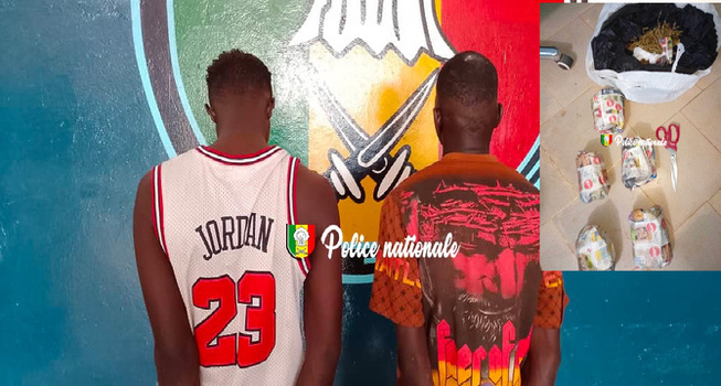 Trafic de drogue : La police de Ndamatou frappe un grand coup , six arrestations et de grosses saisies Trafic de drogue : La police de Ndamatou frappe un grand coup , six arrestations et de grosses saisies