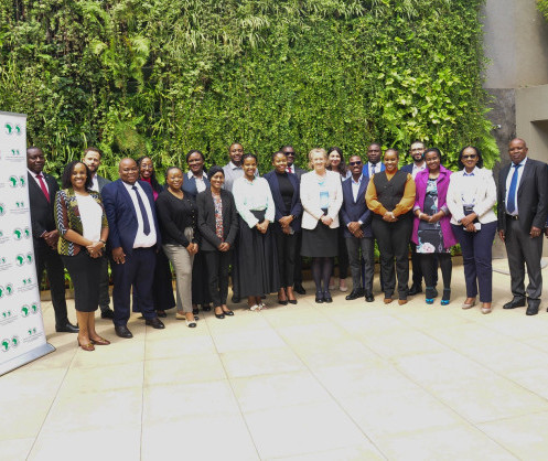 Finance durable : Le secteur financier africain valide la taxonomie continentale