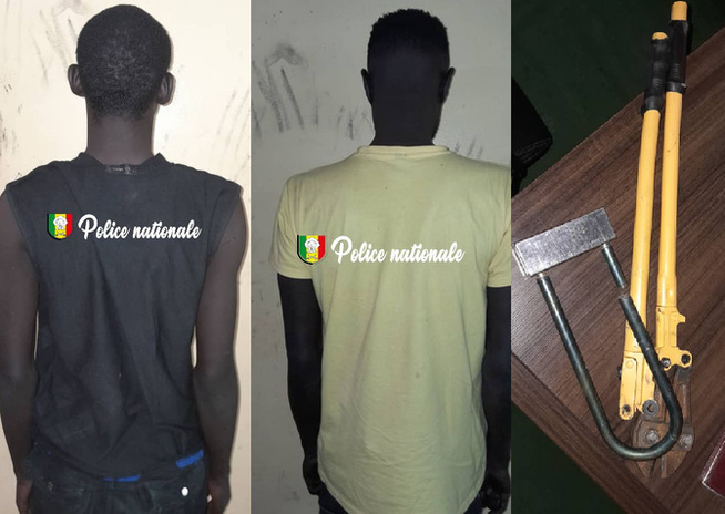 Opérations policières réussies à Grand Dakar : trafiquants et voleurs neutralisés pour trafic de drogue et vol de moto Opérations policières réussies à Grand Dakar : trafiquants et voleurs neutralisés pour trafic de drogue et vol de moto