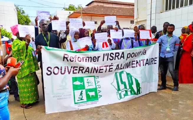 ISRA : les chercheurs dénoncent un blocage et brandissent la menace de grève ISRA : les chercheurs dénoncent un blocage et brandissent la menace de grève