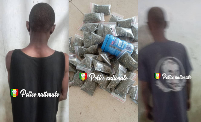 Opération antidrogue à Jaaxay : deux arrestations pour détention de chanvre indien Opération antidrogue à Jaaxay : deux arrestations pour détention de chanvre indien