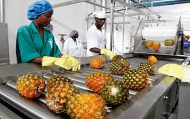Sénégal : Baisse de l’activité du secteur secondaire en juin 2025 Sénégal : Baisse de l’activité du secteur secondaire en juin 2025