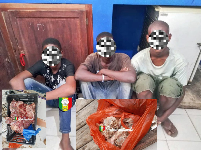 Association de malfaiteurs, vente de viande impropre à la consommation et mise en danger de la vie d'autrui : Trois individus arrêtés Association de malfaiteurs, vente de viande impropre à la consommation et mise en danger de la vie d'autrui : Trois individus arrêtés