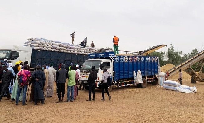 La Sonacos atteint une collecte record de 155 000 tonnes d’arachide La Sonacos atteint une collecte record de 155 000 tonnes d’arachide