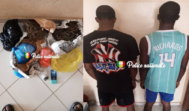 Trafic de drogue : La police intercepte un réseau à Yeumbeul Sud, deux trafiquants arrêtés avec 1,4 kg de chanvre indien