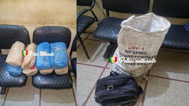 Kaolack - Lutte antidrogue : Une moto abandonnée avec sa cargaison, huit kilos de chanvre indien saisis Kaolack - Lutte antidrogue : Une moto abandonnée avec sa cargaison, huit kilos de chanvre indien saisis
