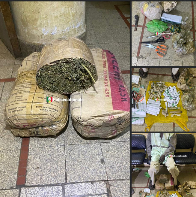 Arrestation et saisie de drogue à Kaolack avant le Gamou Arrestation et saisie de drogue à Kaolack avant le Gamou