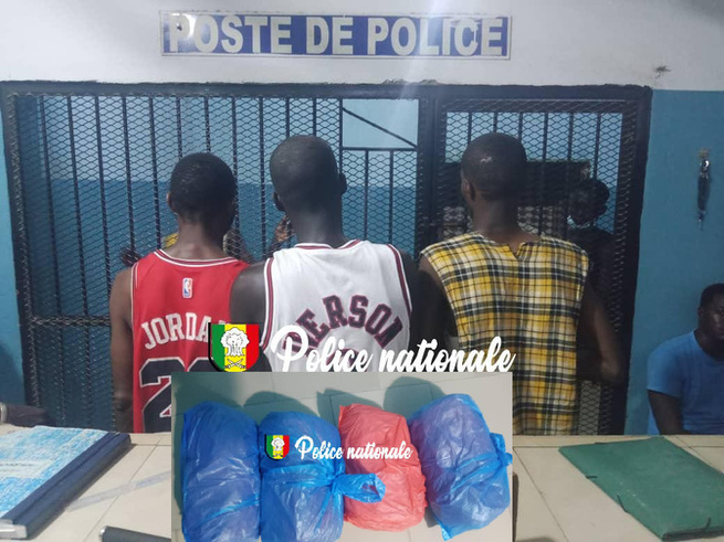 Coup de filet anti-drogue: trois individus interpellés à Grand Yoff Coup de filet anti-drogue: trois individus interpellés à Grand Yoff