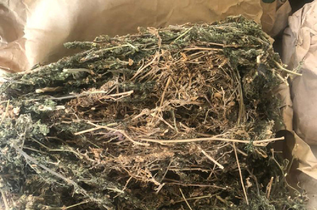 Trafic de drogue à Dieuppeul-Derklé : Interpelé en possession d’un cornet de chanvre, un individu tombe avec d’autres lots de stupéfiants Trafic de drogue à Dieuppeul-Derklé : Interpelé en possession d’un cornet de chanvre, un individu tombe avec d’autres lots de stupéfiants