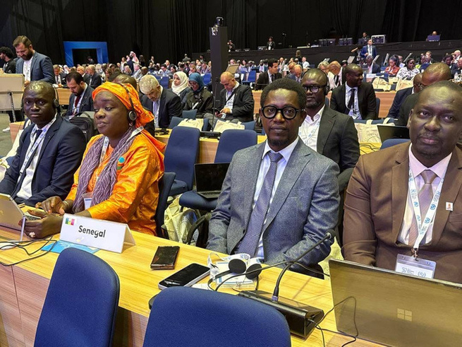 Le Sénégal réélu au Conseil d’exploitation postale de l’UPU Le Sénégal réélu au Conseil d’exploitation postale de l’UPU